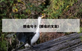 腰痛句子（腰痛的文案）