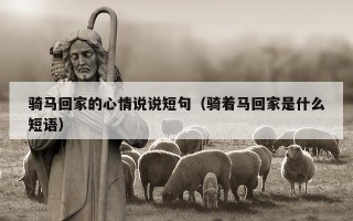 骑马回家的心情说说短句（骑着马回家是什么短语）