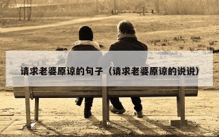 请求老婆原谅的句子（请求老婆原谅的说说）