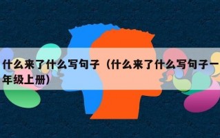 什么来了什么写句子（什么来了什么写句子一年级上册）