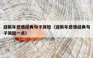 迎新年感悟经典句子简短（迎新年感悟经典句子简短一点）