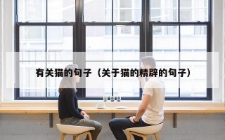 有关猫的句子（关于猫的精辟的句子）