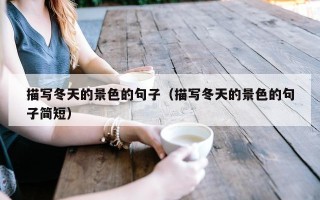 描写冬天的景色的句子（描写冬天的景色的句子简短）