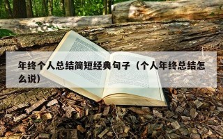 年终个人总结简短经典句子（个人年终总结怎么说）
