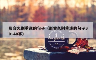 形容久别重逢的句子（形容久别重逢的句子30~40字）