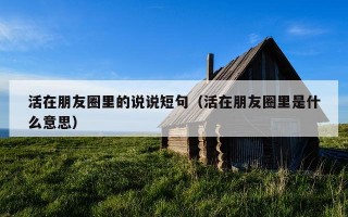 活在朋友圈里的说说短句（活在朋友圈里是什么意思）