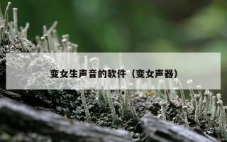 变女生声音的软件（变女声器）