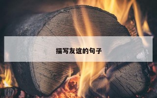 描写友谊的句子