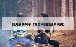 赞海鸥的句子（赞美海鸥的经典说说）
