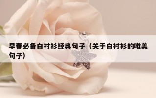 早春必备白衬衫经典句子（关于白衬衫的唯美句子）