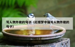 写人物外貌的句子（红楼梦中描写人物外貌的句子）