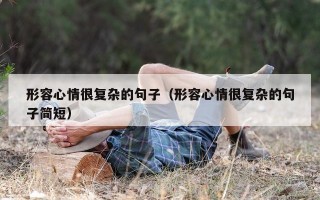 形容心情很复杂的句子（形容心情很复杂的句子简短）