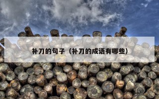 补刀的句子（补刀的成语有哪些）