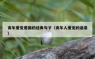青年爱党爱国的经典句子（青年人爱党的语录）