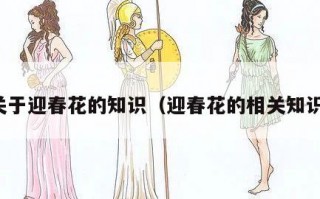 关于迎春花的知识（迎春花的相关知识）