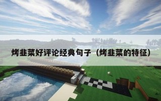 烤韭菜好评论经典句子（烤韭菜的特征）