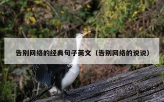 告别网络的经典句子英文（告别网络的说说）