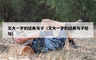又大一岁的经典句子（又大一岁的经典句子短句）