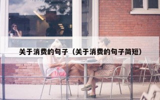 关于消费的句子（关于消费的句子简短）
