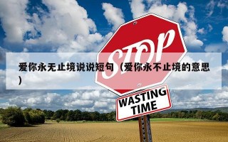爱你永无止境说说短句（爱你永不止境的意思）