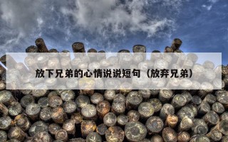 放下兄弟的心情说说短句（放弃兄弟）