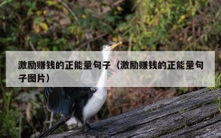 激励赚钱的正能量句子（激励赚钱的正能量句子图片）