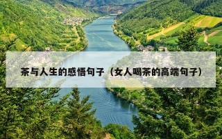 茶与人生的感悟句子（女人喝茶的高端句子）