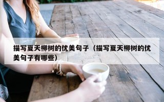 描写夏天柳树的优美句子（描写夏天柳树的优美句子有哪些）