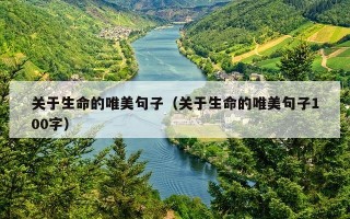 关于生命的唯美句子（关于生命的唯美句子100字）
