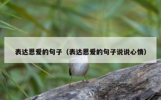 表达恩爱的句子（表达恩爱的句子说说心情）