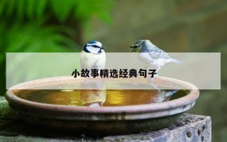 小故事精选经典句子