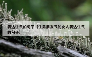 表达生气的句子（生男朋友气的女人表达生气的句子）