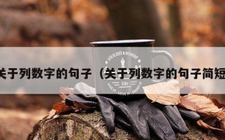 关于列数字的句子（关于列数字的句子简短）