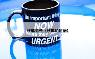 秋裤句子（秋裤的短语）