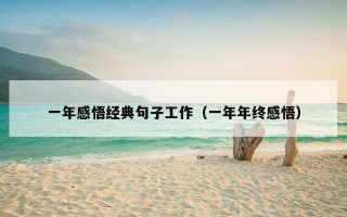 一年感悟经典句子工作（一年年终感悟）