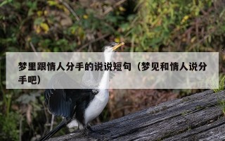 梦里跟情人分手的说说短句（梦见和情人说分手吧）