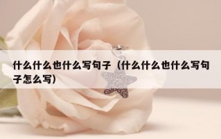 什么什么也什么写句子（什么什么也什么写句子怎么写）