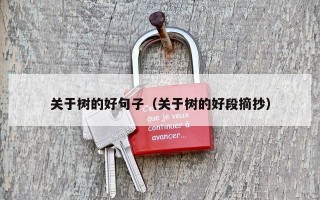 关于树的好句子（关于树的好段摘抄）