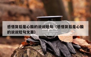 感悟背后是心酸的说说短句（感悟背后是心酸的说说短句文案）