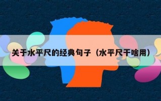 关于水平尺的经典句子（水平尺干啥用）