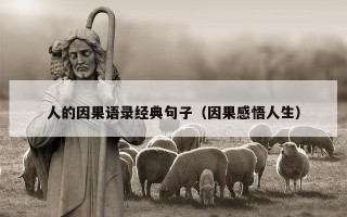 人的因果语录经典句子（因果感悟人生）