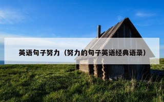 英语句子努力（努力的句子英语经典语录）