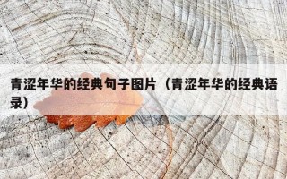 青涩年华的经典句子图片（青涩年华的经典语录）