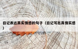 日记表达真实情感的句子（日记写出真情实感）