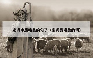 宋词中最唯美的句子（宋词最唯美的词）