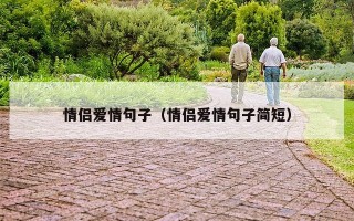 情侣爱情句子（情侣爱情句子简短）