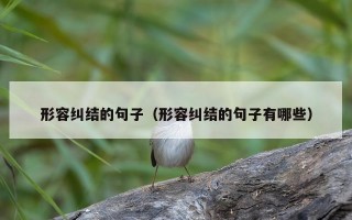 形容纠结的句子（形容纠结的句子有哪些）