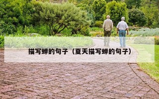 描写蝉的句子（夏天描写蝉的句子）