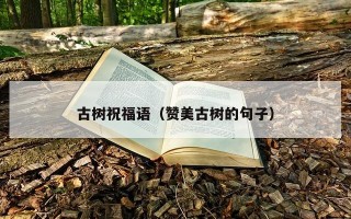 古树祝福语（赞美古树的句子）