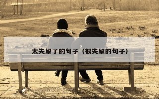 太失望了的句子（很失望的句子）